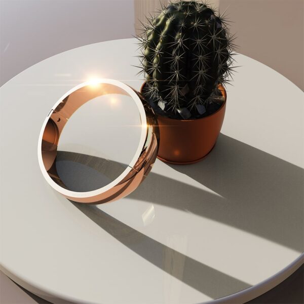Solid Oval Stainless Steel Bangle in Rose Gold 8mm - Image 3