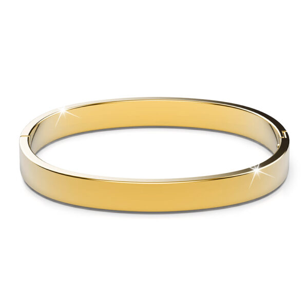Serena Solid Flat Hinged Bangle in Gold - Image 2