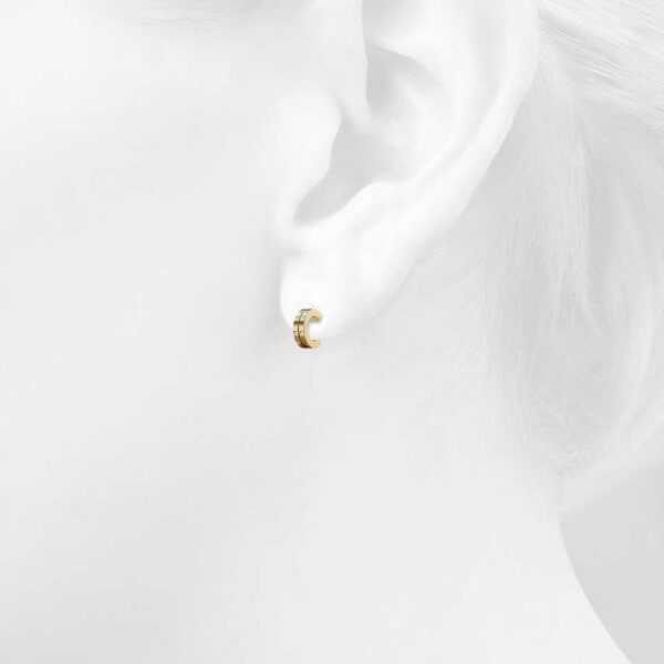 Iris Zircon Gold Hoop Earrings - Image 4