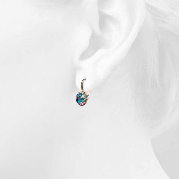 Clustered Austrian Crystals Leverback Earrings - Image 3
