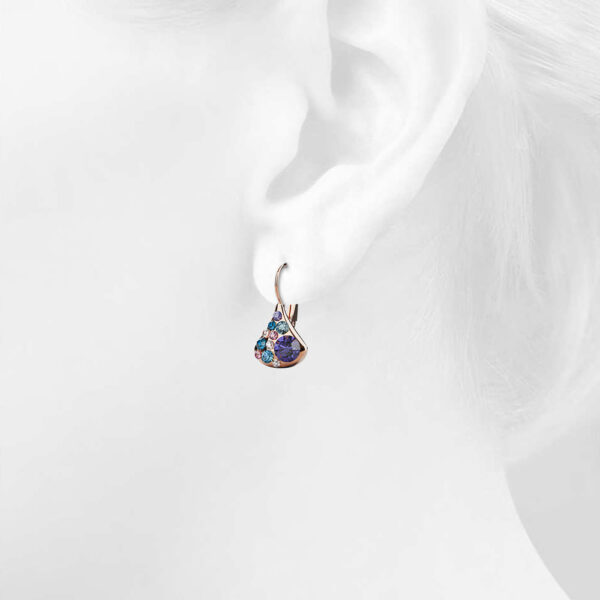 Cerulean Clustered Austrian Crystal Leverback Earrings In Rose Gold - Image 4